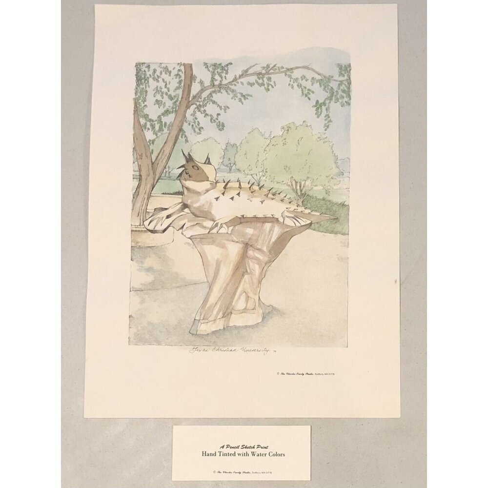 11.5"x14" Hand Colored Pencil Sketch PRINT TCU Horned Frog by CHARLES OVERLY EUC